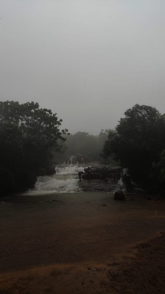 whatsapp image 2025 08 17 at 21.35.54 483ffe19