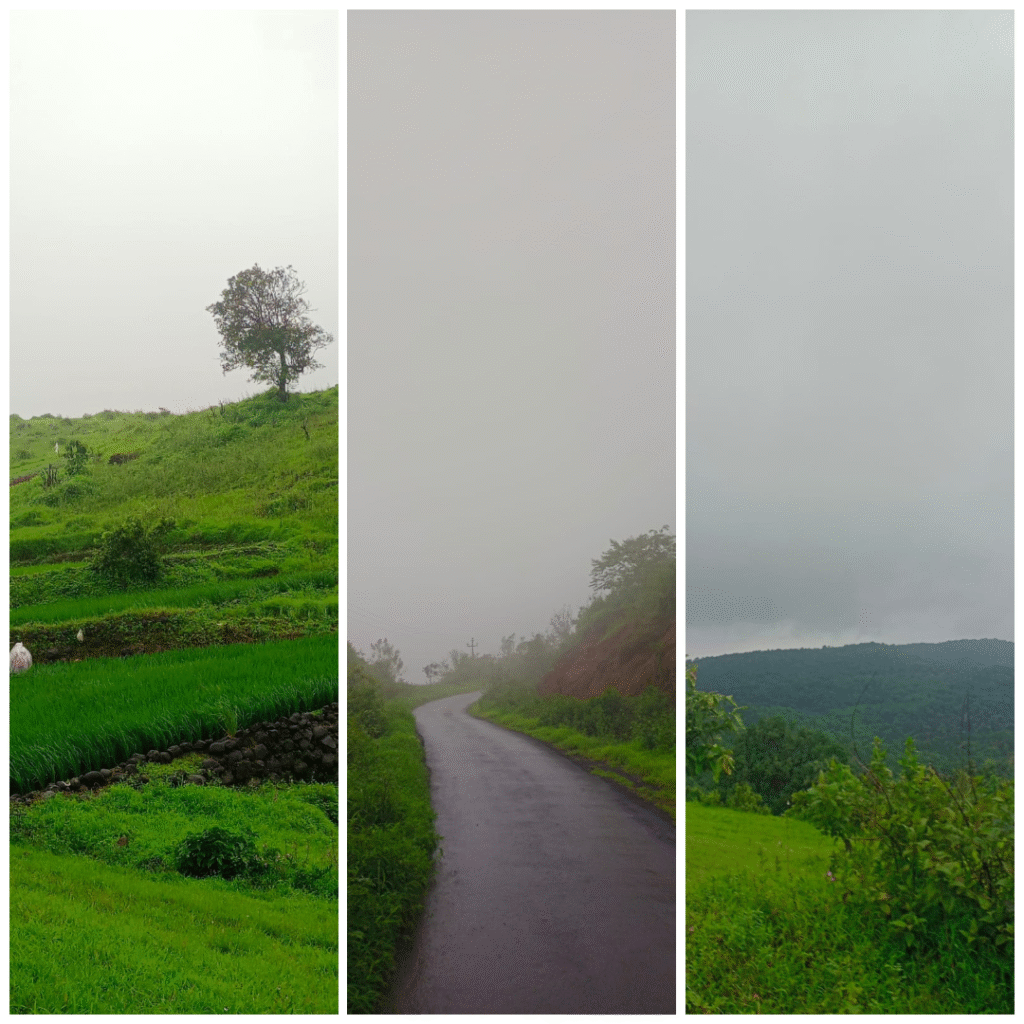 photo collage.png (3)