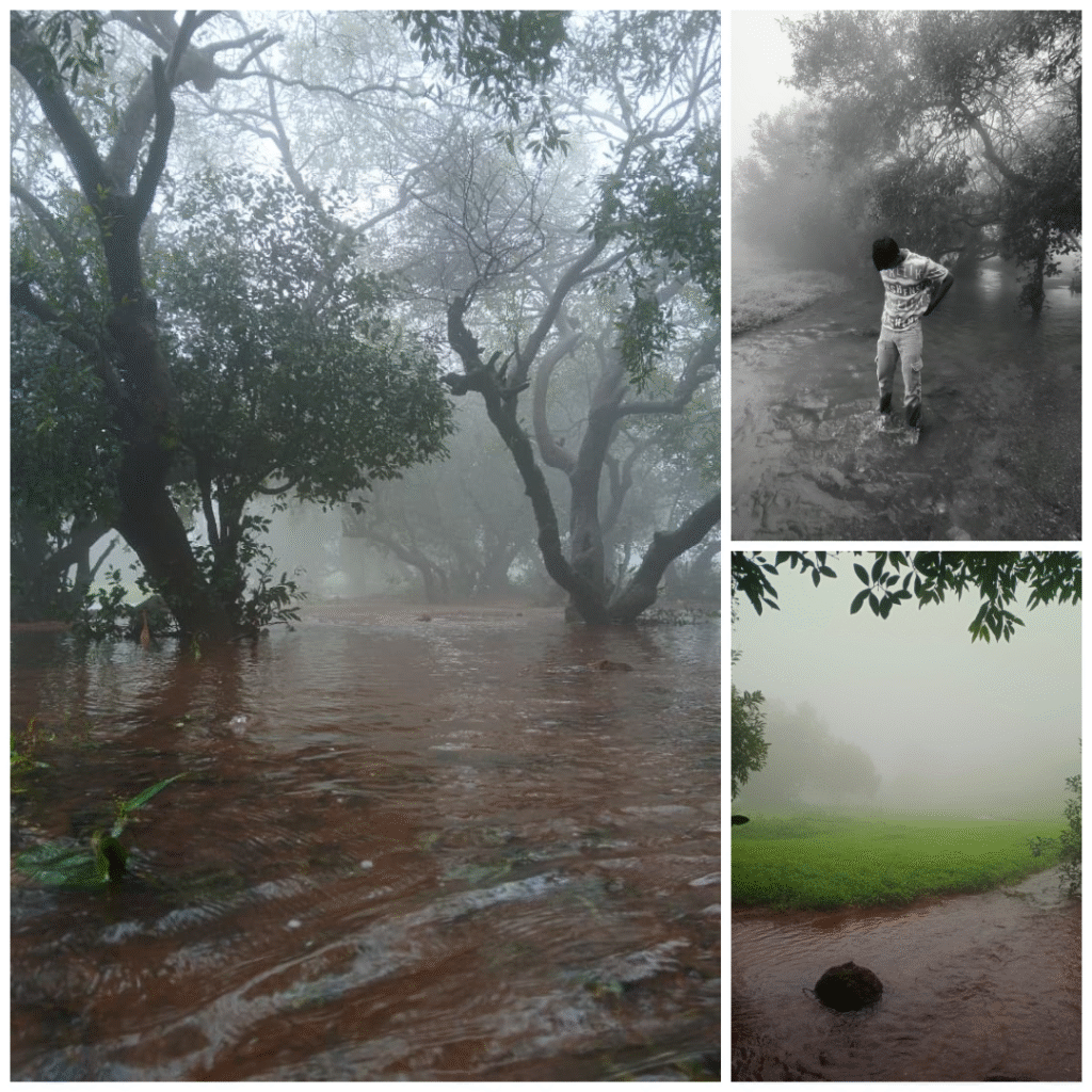 photo collage.png (5)